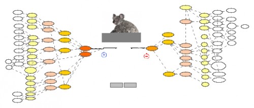 SEQ Koala Simulation | Insight Maker