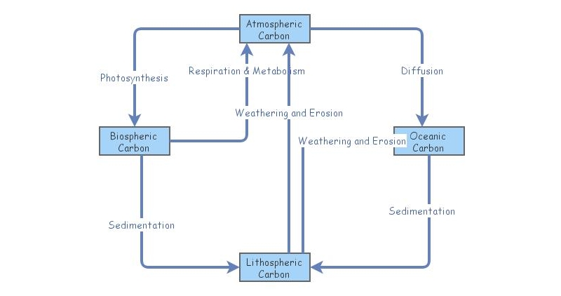 Carbon Cycle Stock & Flow Diagram | Insight Maker