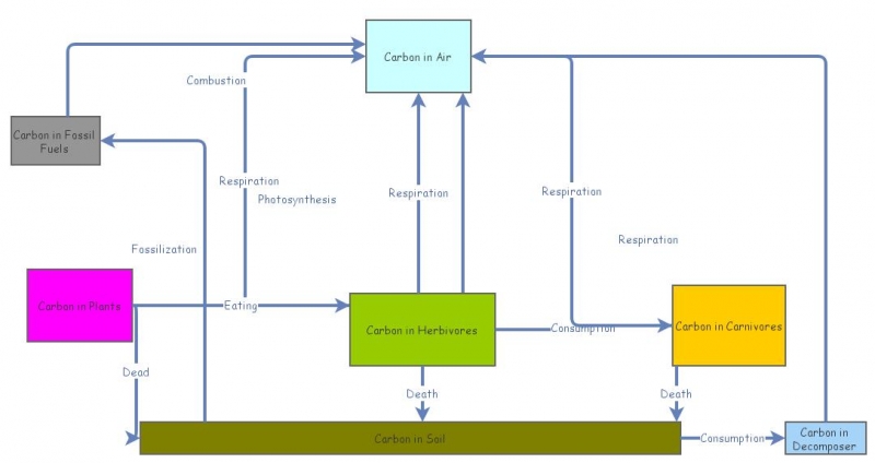 Carbon Flow | Insight Maker