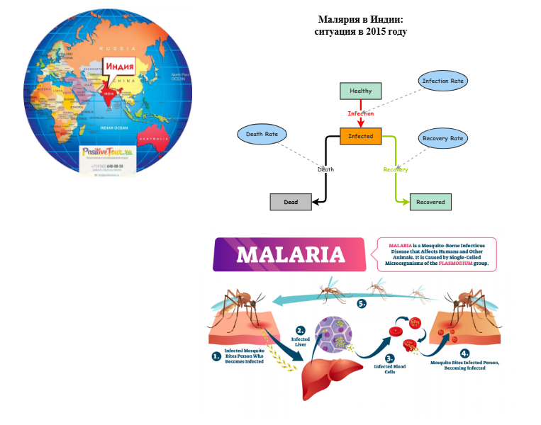 Самостоятельная работа 1 (системное моделирование) | Insight Maker