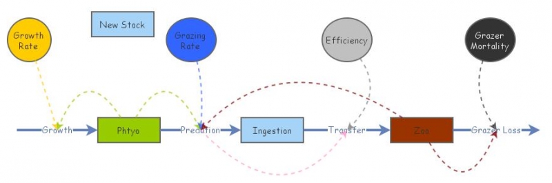 lab 4: C | Insight Maker