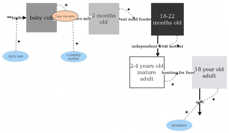 snow leopard life cycle kendra | Insight Maker