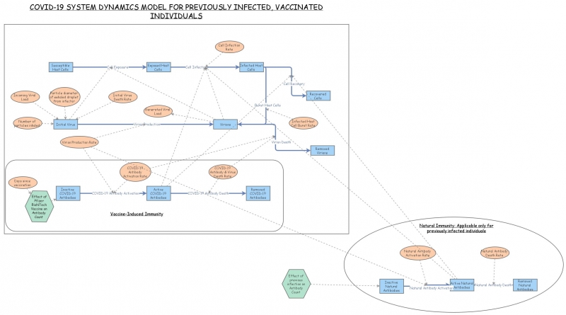 System Dynamic Model 1b (Previously-infected individual) | Insight Maker