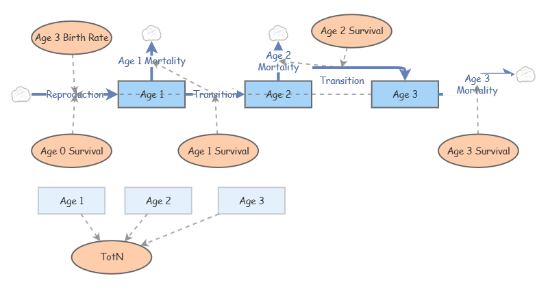 Lab 3 - Age Structured Model | Insight Maker
