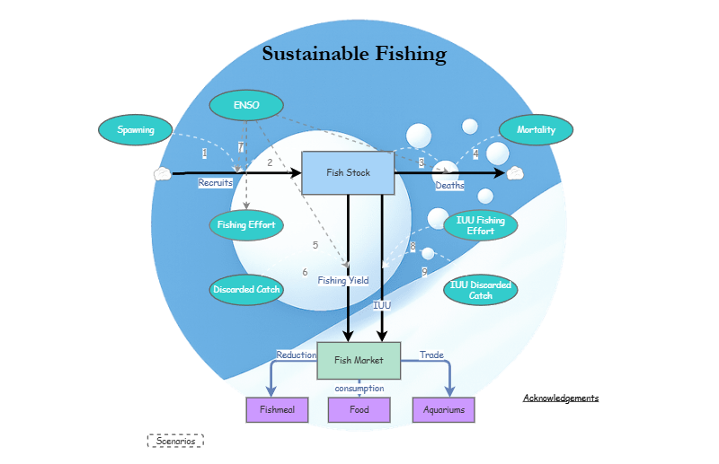 Clone of Clone of Stage 4 - Sustainable Fishing Model | Insight Maker