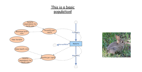 Clone of Basic population | Insight Maker