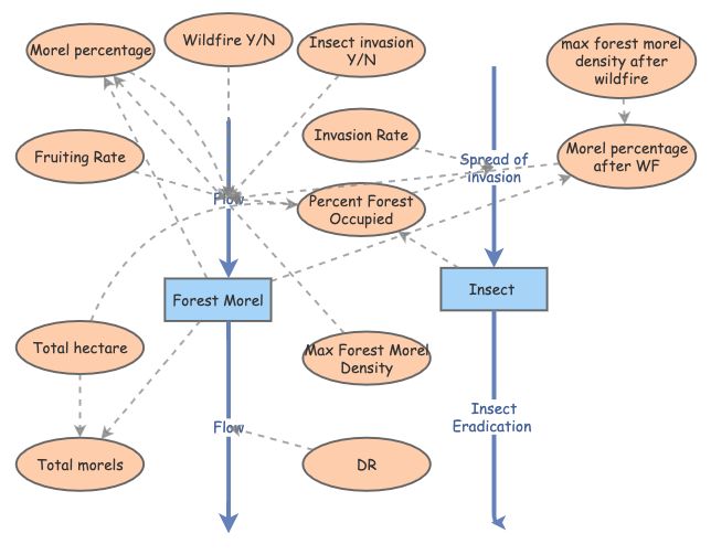 Model Morel Morel Model | Insight Maker