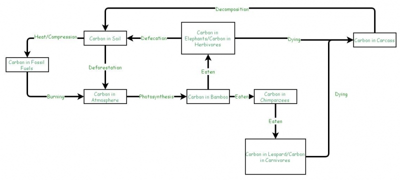 Bio test 2- carbon cycle | Insight Maker