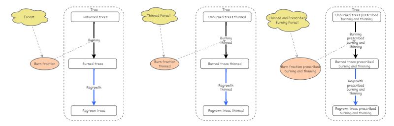 Modeling Fire Ecology by Management Technique | Insight Maker