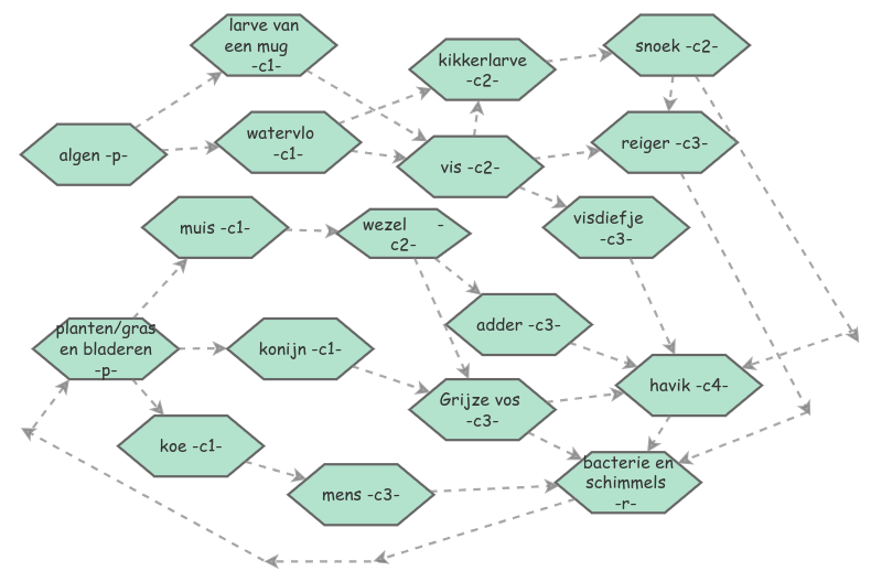 Clone of bio voedselweb | Insight Maker