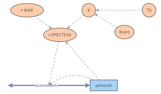 clase 9 ejemplo 1 | Insight Maker