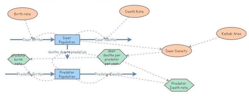 predator prey | Insight Maker