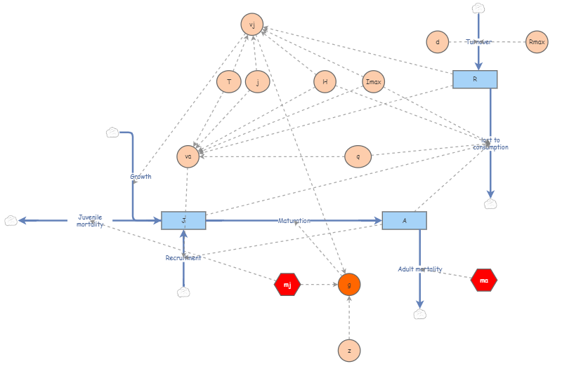 Stage-structured Model | Insight Maker