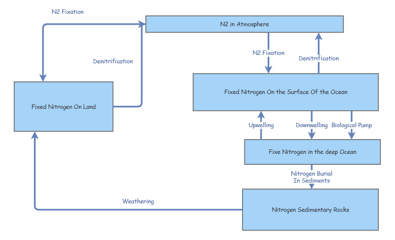 Nitrogen Cycle | Insight Maker