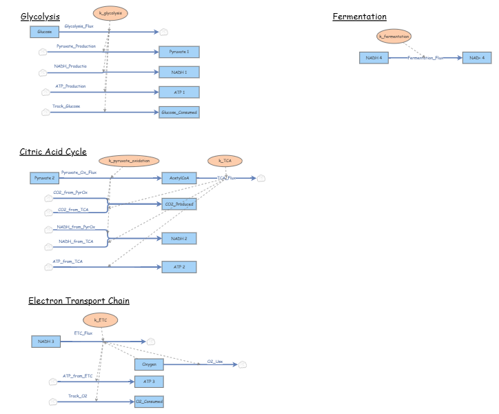 System Modeling 3: Respiration in Parts | Insight Maker