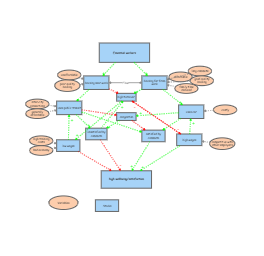 PLAN 202 final | Insight Maker