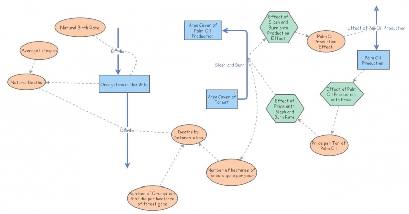 FINAL WITH FEEDBACK LOOP | Insight Maker