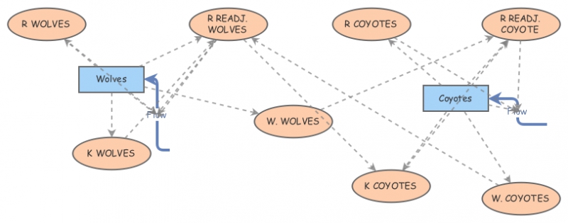 WOLVES & COYOTES COMPETITION MODEL | Insight Maker