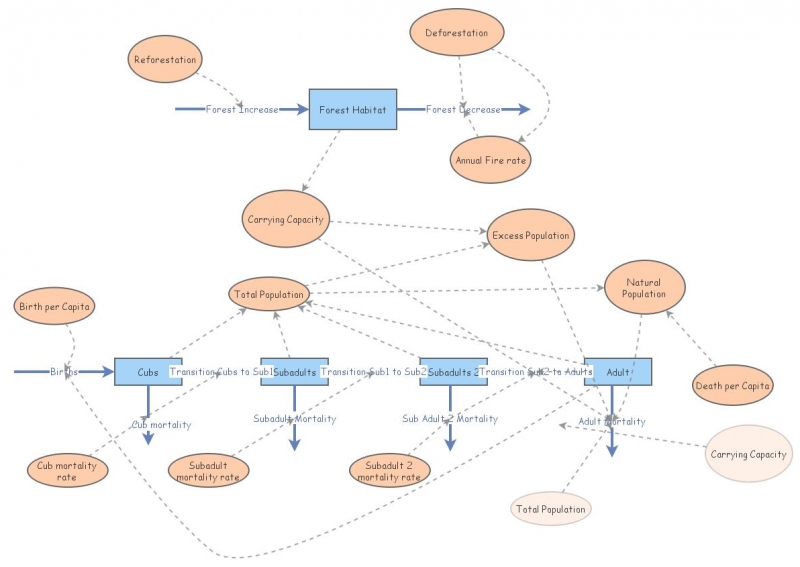 Clone of Amur Leopard Population and Forest Habitat Model | Insight Maker