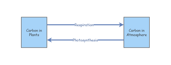 Carbon Modeling Activity | Insight Maker