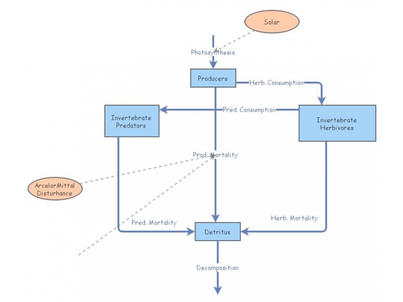 Ecosystem Wetland Model Proposal | Insight Maker