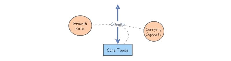 Homework 2 - Cane Toad Model | Insight Maker