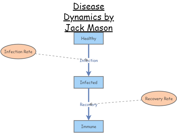 Disease Dynamics -Jack Mason | Insight Maker