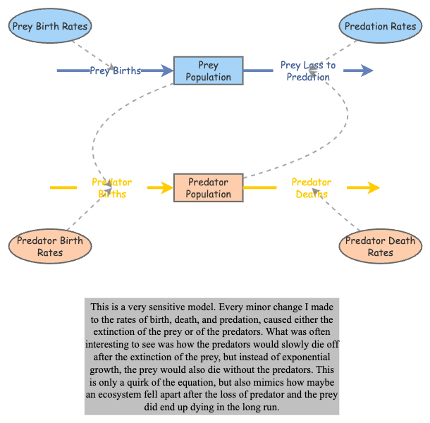 Predator Prey Dynamics | Insight Maker