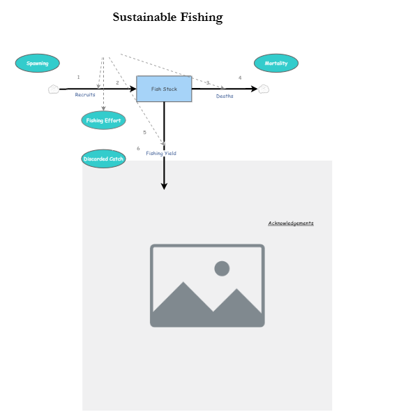 Clone of Clone of Stage 4 - Sustainable Fishing Model | Insight Maker