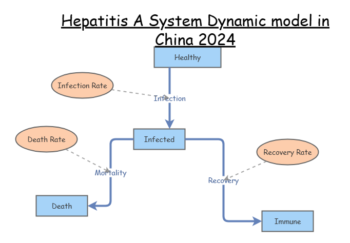 Hepatitis A System Dynamic model in China 2024 | Insight Maker