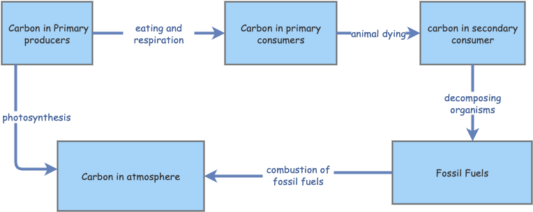 Carbon Cycle stock and flow | Insight Maker