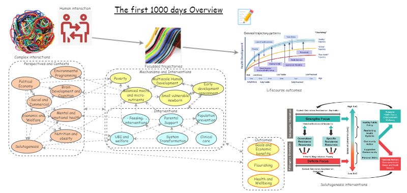 The first 1000 days of Early Child Development Overview | Insight Maker