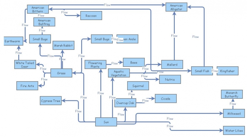 Food Web | Insight Maker