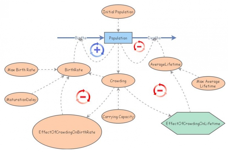 Assignment 25: Population with Carrying Capacity Model | Insight Maker