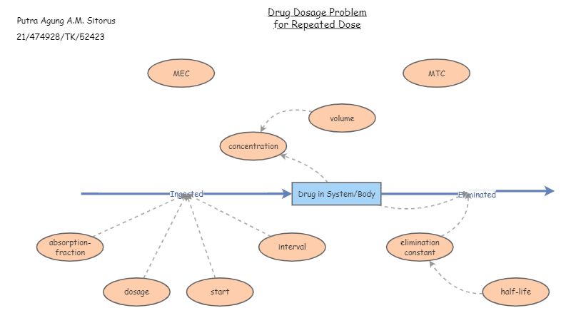 474928_Putra Agung A.M. Sitorus_Drug Dosage Problem | Insight Maker
