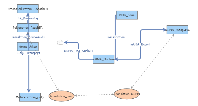 system modeling 4 | Insight Maker