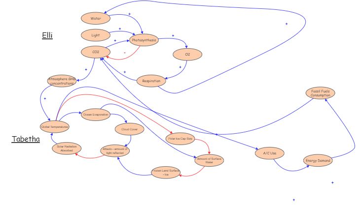 Causal Loop Diagrams | Insight Maker