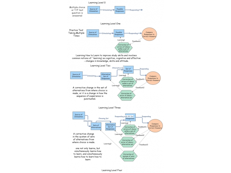 Learning Levels by Bateson | Insight Maker