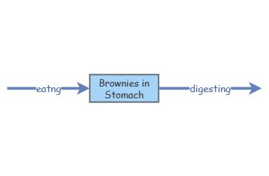 process analysis essay on how to make brownies