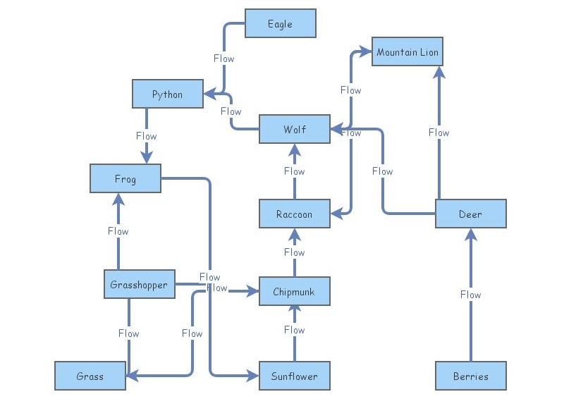 Food Web | Insight Maker