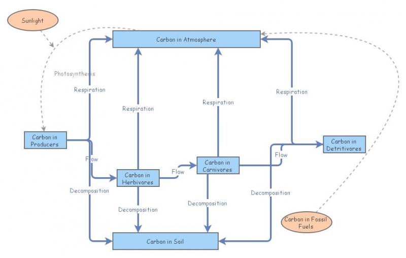 Carbon cycle | Insight Maker