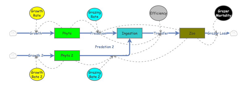 Phyto-Zoo: Exercise B | Insight Maker