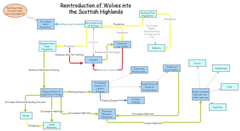 Wolf Reintroduction | Insight Maker