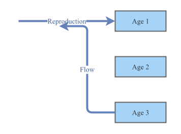 Lab 3 Ages Structured Model | Insight Maker
