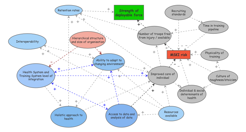 Systems approach to MSKI risk | Insight Maker