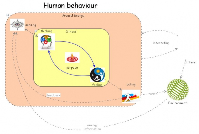 Human behaviour | Insight Maker