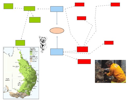 UDB101 Koala Population Case Study | Insight Maker