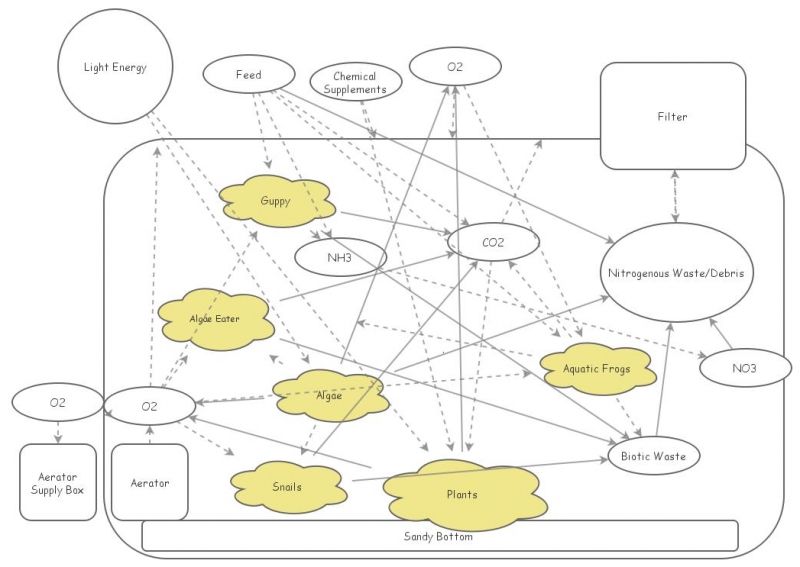 Aquarium Ecosystem Diagram Insight Maker