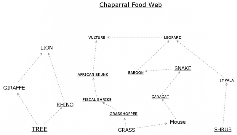 The Chaparral Food Pyramid: A Delicate Balance in a Unique Ecosystem