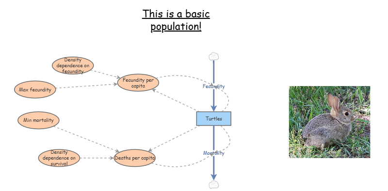 Clone of Basic population | Insight Maker